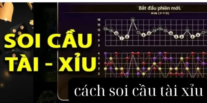 Lưu ý quan trọng khi vận dụng các thông tin trên vào thực tế